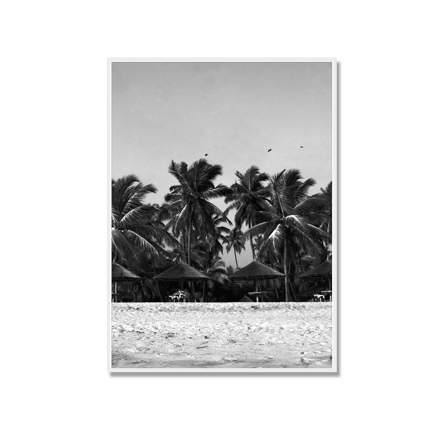 SUMMER IN LAGOS Photography Print