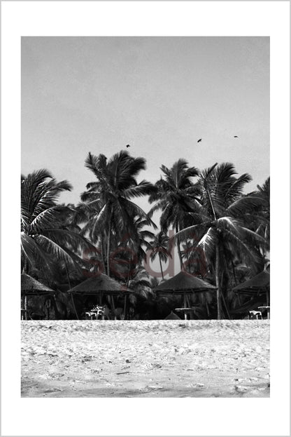 SUMMER IN LAGOS Photography Print